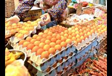 香港檢出歐洲“毒雞蛋”，官方：受污染雞蛋全下架