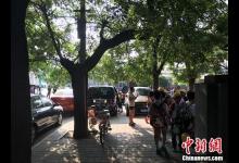 猥褻兒童事件頻發:校園性教育何時不再尷尬?