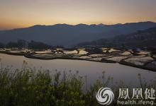 緬甸H1N1甲型流感已致26人死亡