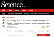 全球首份癌癥病例圖譜發布 分析了8000種腫瘤樣本