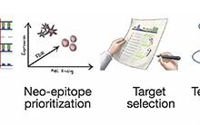 癌癥疫苗曙光初現:腫瘤突變基因制成疫苗,喚醒體內抗癌大軍