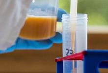 比利時將徹查“毒雞蛋”事件,食品安全局曾發現問題知情不報