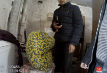 利潤超販毒!農村黑作坊生產假減肥藥,銷往20余省