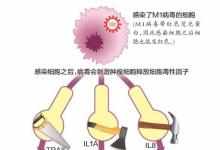 這種“滅癌”病毒 猴子測試后無不良反應