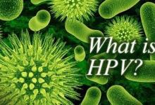 諾貝爾生理學或醫學獎風向標:HPV疫苗研究進展!