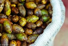 小伙每天4包檳榔嚼得張不開嘴 醫生:可致口腔癌