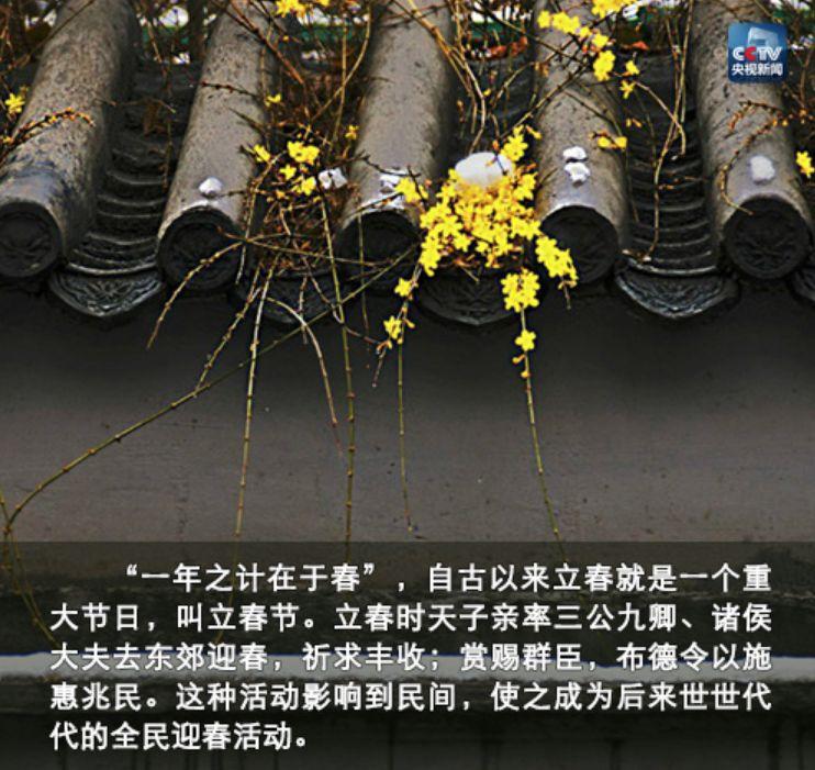 夜讀丨立春:人隨春好,春與人宜 夜讀丨立春:人隨春好,春與人宜