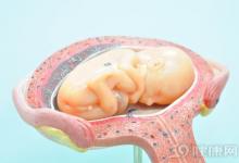 科學家稱PM2.5可到達子宮!準媽媽你怕了嗎?