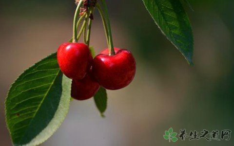 5天吃掉6斤車厘子 吃車厘子有什么好處 5天吃掉6斤車厘子 吃車厘子有什么好處