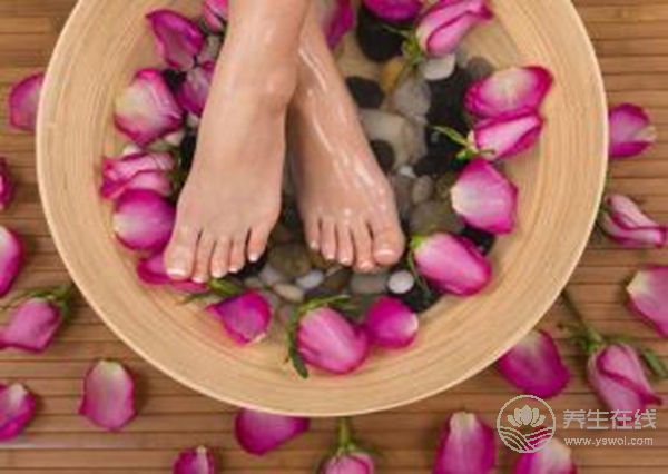 2018年九九重陽節養生保健9要點 助老人延年益壽 2018年九九重陽節養生保健9要點 助老人延年益壽