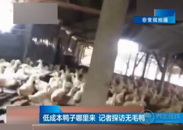 18元烤鴨是怎么回事 美味的背后讓你不敢再開口