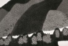 丹青也是可以做“妙手”,既養(yǎng)心又養(yǎng)生!