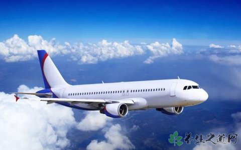 孩子奪飛機操縱桿 乘坐飛機的安全注意事項 孩子奪飛機操縱桿 乘坐飛機的安全注意事項
