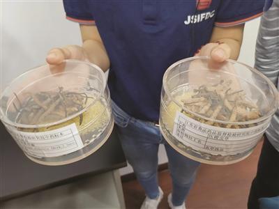 一感冒狂補(bǔ)維C，靠譜嗎？