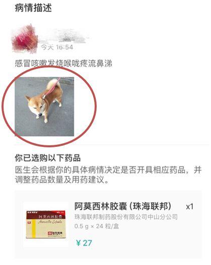 寵物照片充當處方竟能網購處方藥-易網<a href=http://www.jsjjzhkt.cn/ target=_blank class=infotextkey>健康養生</a>網 寵物照片充當處方竟能網購處方藥