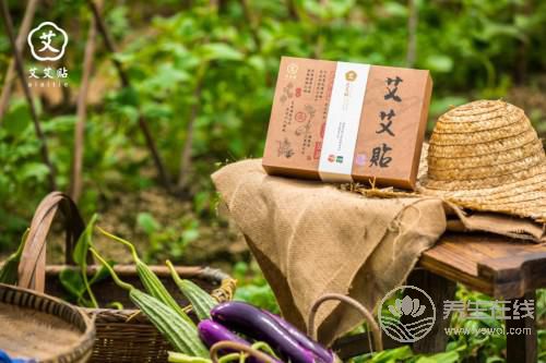 艾艾貼艾灸器:知名養生節目都在講它,連《向往的生活》里都有它-易網健康養生網 艾艾貼艾灸器:知名養生節目都在講它,連《向往的生活》里都有它