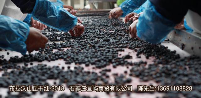 葡萄酒怎么醒酒?手把手教你醒酒—布拉沃山丘干紅葡萄酒-2018-易網健康養生網 葡萄酒怎么醒酒?手把手教你醒酒—布拉沃山丘干紅葡萄酒-2018