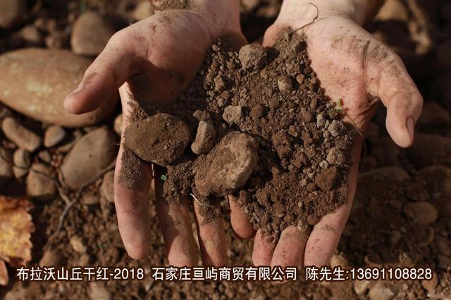 葡萄酒怎么醒酒?手把手教你醒酒—布拉沃山丘干紅葡萄酒-2018-易網健康養生網 葡萄酒怎么醒酒?手把手教你醒酒—布拉沃山丘干紅葡萄酒-2018