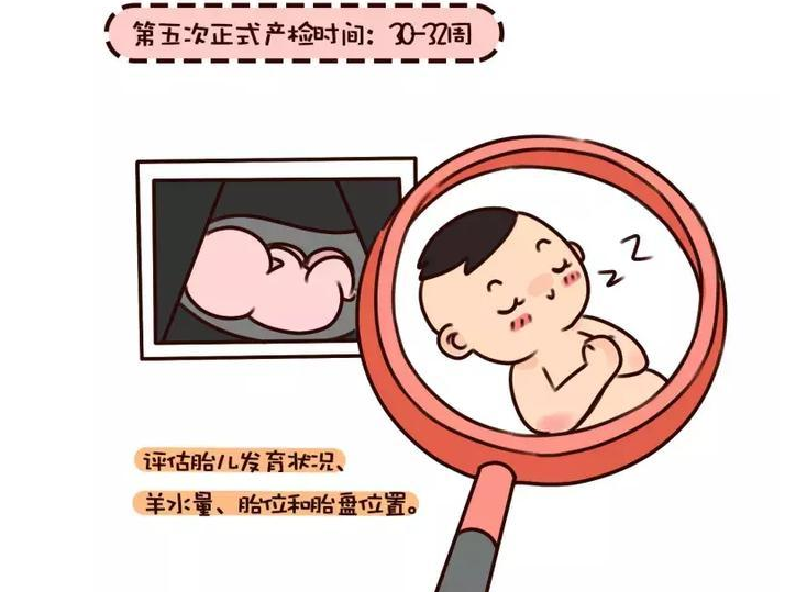 石家莊港大婦產醫院：孕期檢查知多少，孕媽媽必知的孕期檢查時間表！