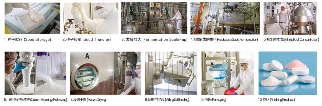 不用煲湯吞海參，這個提高免疫力的法子一學(xué)就會