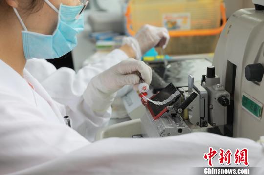 粵醫院病理檢測技術獲國際認可 與近80個國家互認病理報告