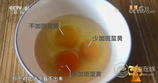 土雞蛋行業混亂 神丹、蓮田被曝光-易網健康<a href=http://www.jsjjzhkt.cn/jkys/ target=_blank class=infotextkey>養生</a>網 土雞蛋行業混亂 神丹、蓮田被曝光