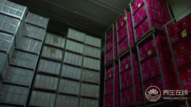 天價蘋果幕后,竟然是這一群人在幕后推手-易網健康<a href=http://www.jsjjzhkt.cn/jkys/ target=_blank class=infotextkey>養生</a>網 天價蘋果幕后,竟然是這一群人在幕后推手