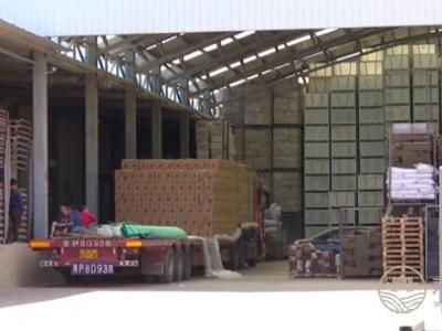 天價蘋果幕后，竟然是這一群人在幕后推手