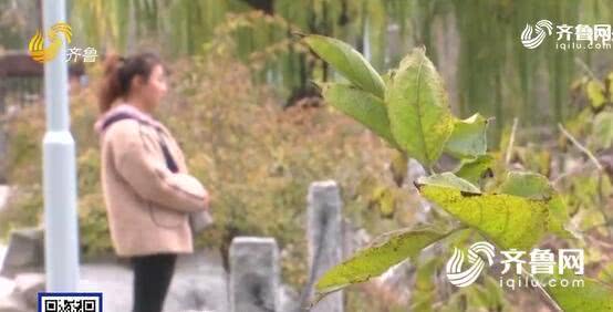 濟南熙美人整形醫院把人鼻子嗅覺給整沒了?醫院:需第三方鑒定-易網健康<a href=http://www.jsjjzhkt.cn/jkys/ target=_blank class=infotextkey>養生</a>網 濟南熙美人整形醫院把人鼻子嗅覺給整沒了?醫院:需第三方鑒定