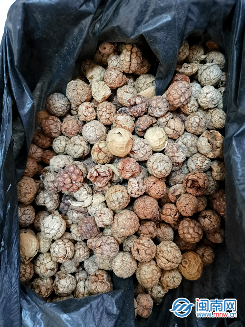 輕信騙子忽悠 漳州一患者家屬花錢買“神藥”