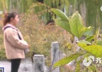 濟南熙美人整形醫院把人鼻子嗅覺給整沒了？醫院：需第三方鑒定