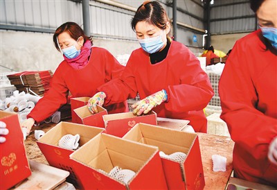 一季度全國農產品電商直播超過400萬場-易網健康<a href=http://www.jsjjzhkt.cn/jkys/ target=_blank class=infotextkey>養生</a>網 一季度全國農產品電商直播超過400萬場