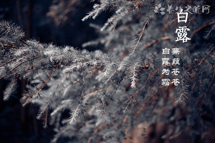 麻栗坡縣發生洪澇 引發洪澇災害的原因有哪些