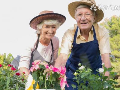 全世界新冠日增加確診創紀錄 吃卷心菜能減少新冠死亡率嗎