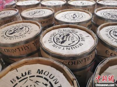 東帝汶咖啡將亮相進博會 香飄“四葉草”