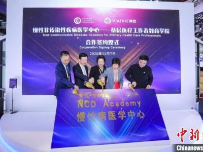 專家進博會共議合作抗疫 提高基層醫療服務水平措施多多的