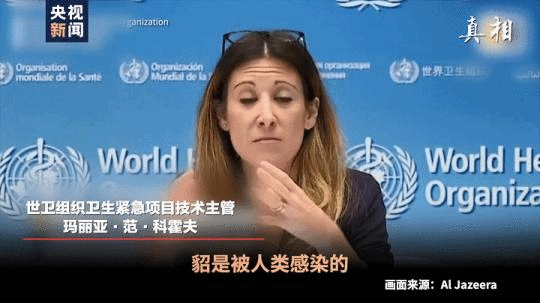 四問搞懂:丹麥變異新冠病毒“貂傳人”究竟多嚴重-易網健康<a href=http://www.jsjjzhkt.cn/jkys/ target=_blank class=infotextkey>養生</a>網 四問搞懂:丹麥變異新冠病毒“貂傳人”究竟多嚴重