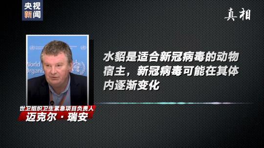 四問搞懂:丹麥變異新冠病毒“貂傳人”究竟多嚴重-易網健康養生網 四問搞懂:丹麥變異新冠病毒“貂傳人”究竟多嚴重