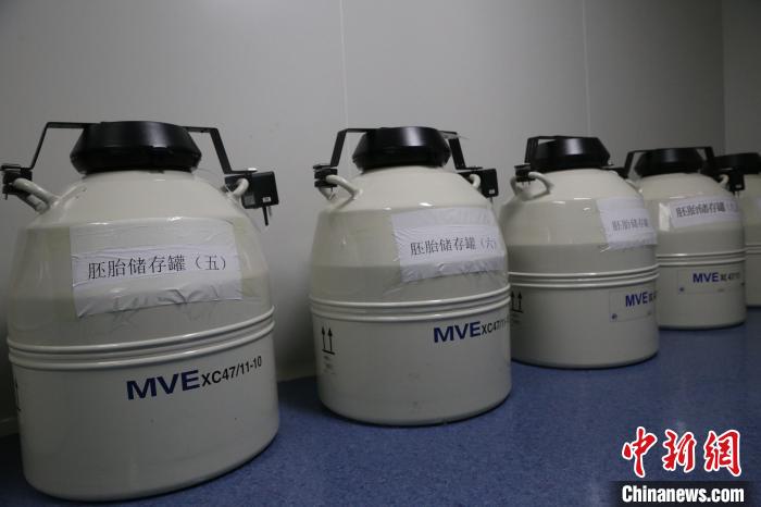 寧夏銀川：科技賦能 讓輔助生殖技術“茁壯成長”