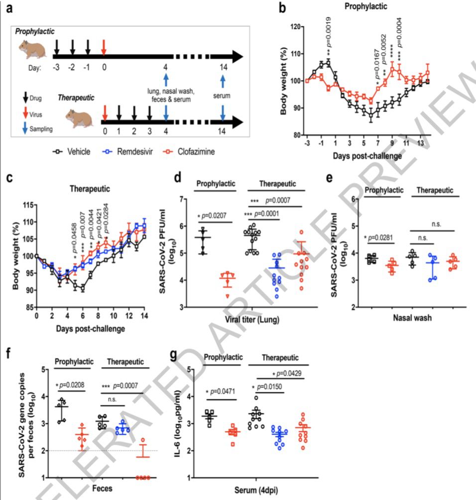 《自然》刊發(fā)港大等研究:麻風藥物能有效對抗新冠病毒感染-易網(wǎng)健康養(yǎng)生網(wǎng) 《自然》刊發(fā)港大等研究:麻風藥物能有效對抗新冠病毒感染