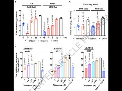 《自然》刊發港大等研究:麻風藥物能有效對抗新冠病毒感染