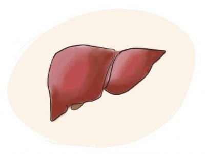 中國慢性肝病患者或超4億人 如何呵護(hù)“小心肝”?