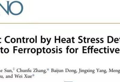 中國學者率先發現“殺死”前列腺癌細胞新策略