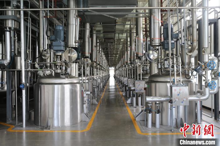 葛洪醫藥遺產在廣東羅浮山得到傳承 已研制180多個醫藥品種