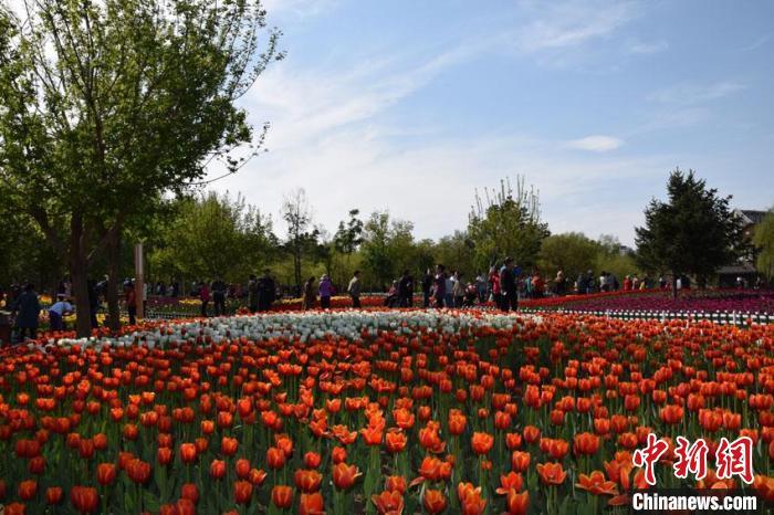 又到一年秋游好時(shí)節(jié) 專家提醒警惕秋季花粉過敏