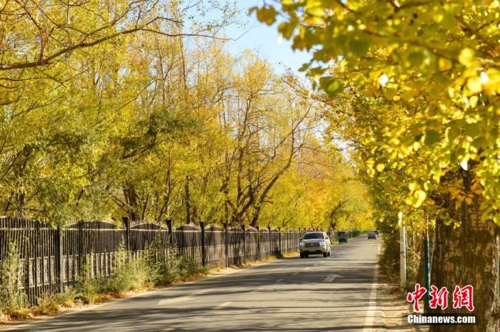 又到一年秋游好時(shí)節(jié) 專家提醒警惕秋季花粉過敏