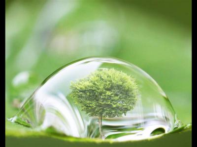 為啥要買綠化好的小區(qū)？PNAS：小區(qū)綠化好，小孩成年后精神病風(fēng)險(xiǎn)降低