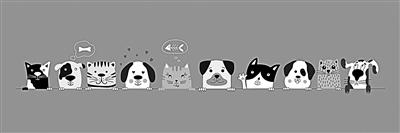 鏟屎官注意 貓抓病了解下-易網健康<a href=http://www.jsjjzhkt.cn/jkys/ target=_blank class=infotextkey>養生</a>網 鏟屎官注意 貓抓病了解下