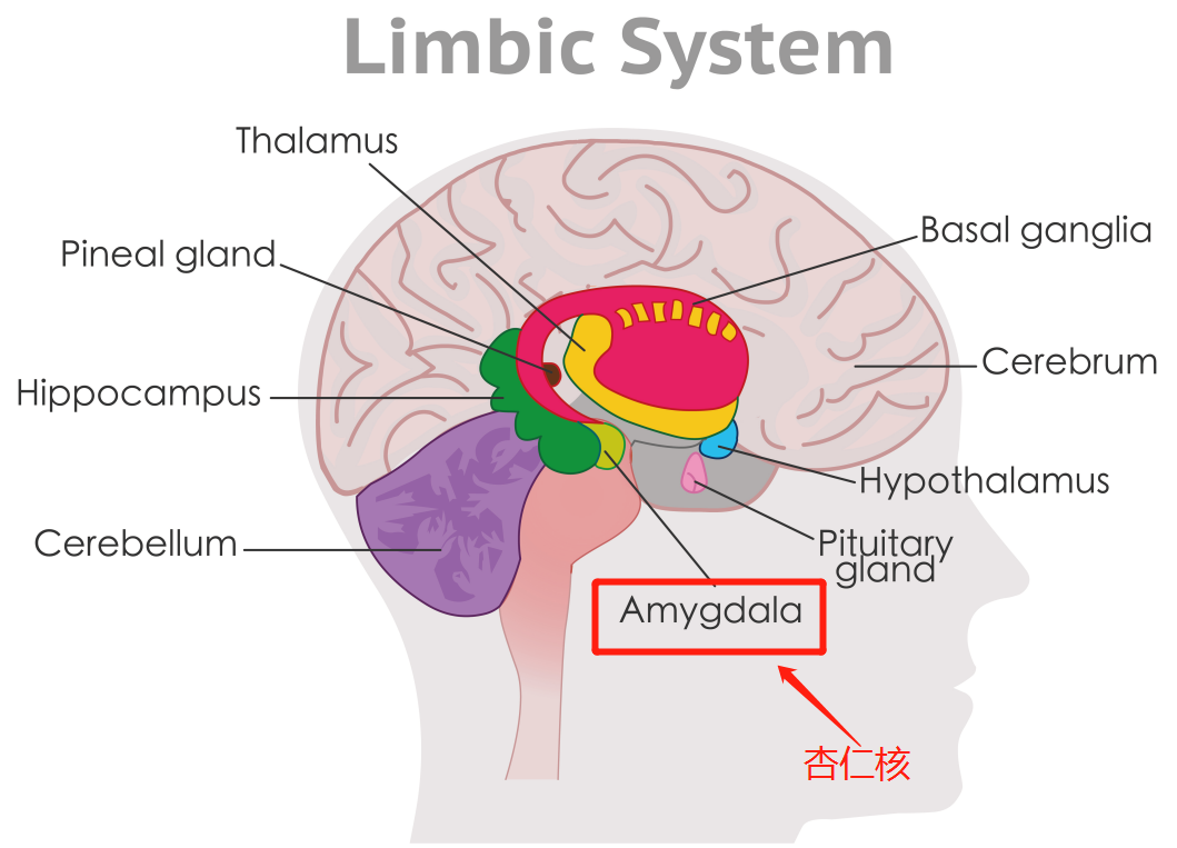 拖延癥的原因找到了,我打算明天再看-易網<a href=http://www.jsjjzhkt.cn/ target=_blank class=infotextkey>健康養生</a>網 拖延癥的原因找到了,我打算明天再看