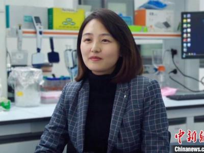 滬科研團隊:過量補充葉酸或葉酸代謝不足對生物體早期發育有負面作用